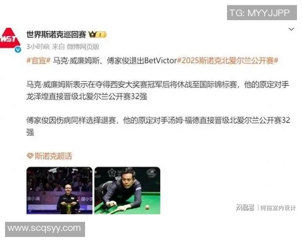 丁俊晖与傅家俊的乒乓情缘与职业生涯的辉煌对比分析