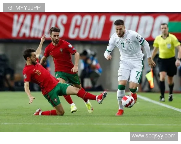 塞尔维亚与威尔士精彩对决全场录像回放及精彩瞬间分析